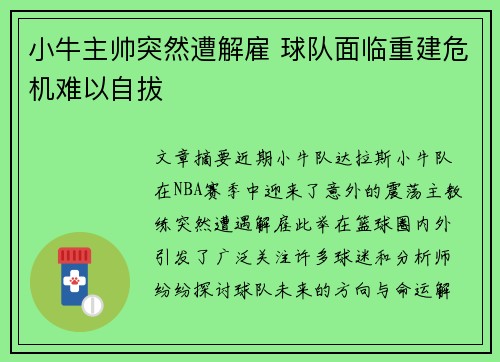 小牛主帅突然遭解雇 球队面临重建危机难以自拔